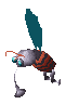 Mosquibee