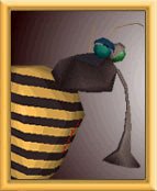 Mosqui-Big