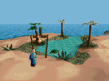 Oasis